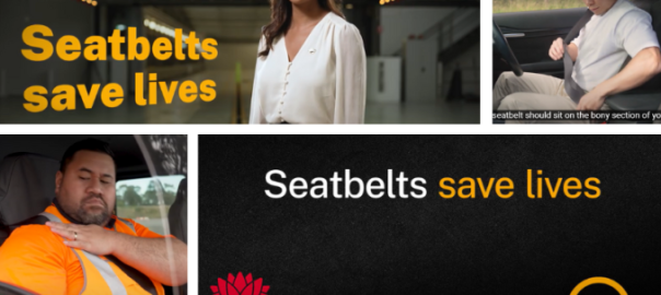 Seatbelts Saves Lives Initiative